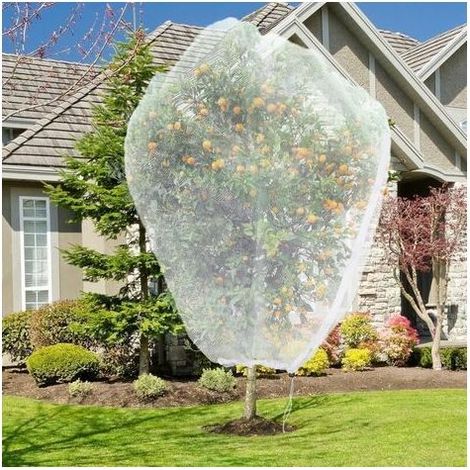 YUIT-Lot de 2 filets protection arbres fruitiers 2,4x2,4m avec fermeture éclair, filet anti-oiseaux et insectes (1/5)