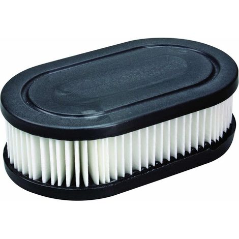 Luftfilter Air BRIGGS et STRATTON 798452