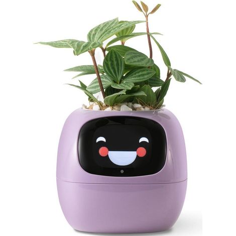 Intelligenter Blumentopf mit automatischer Bewässerung und App-Steuerung, Violett (1/5)