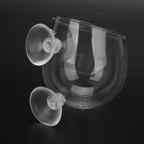 Pot de Plante d'eau d'aquarium, Pot de Plante d'eau d'aquarium Transparent en Verre Transparent, Fournitures de décoration d'aquarium (1/5)
