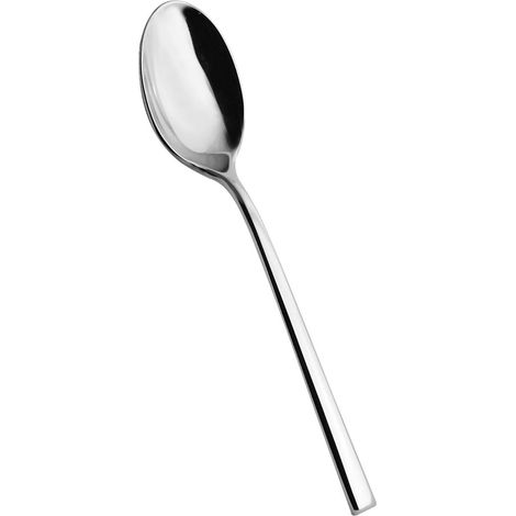 Salvinelli 250 set 12 cucchiaio tavola acciaio inox 18/10