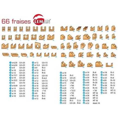 Coffret de 66 mèches défonceuse LEMAN - 42870066 - Carbure - Queue 8mm