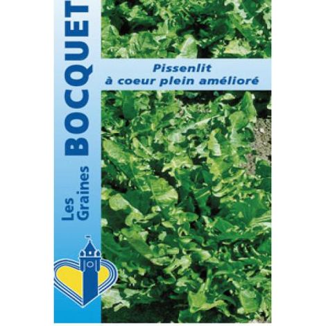 Pissenlit le sachet de 1200 graines (1g)