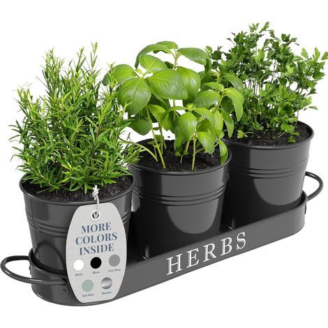 Ensemble de jardinières d'intérieur avec plateau, pots de fleurs en métal pour rebord de fenêtre avec drainage pour plantes d'intérieur ou d'extérieur, lot de 3 (noir) (1/5)