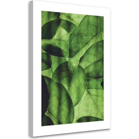 Tableau sur toile Feuilles vertes en macro 40x60 (1/5)