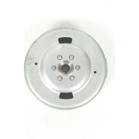 [NEUWERTIG] Rotor Zünd-Polrad für Mofa Peugeot 50 103 Vogue 742762 801542 Neu (1/5)