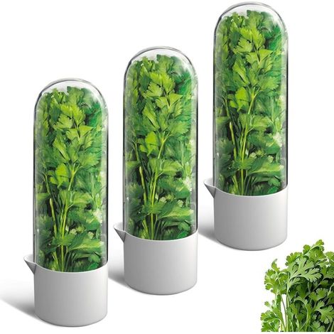 Lot de 3 conservateurs d'herbes pour réfrigérateur, récipient de coriandre, conservation des légumes pour coriandre, menthe, persil, asperges, garde les légumes frais pendant 2 à 3 semaines (1/5)