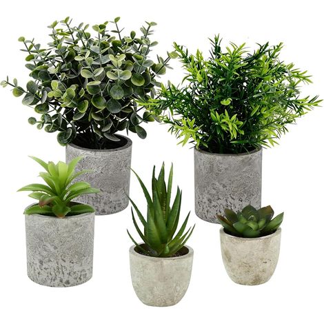 5 Pièces Plantes Artificielles Interieur, Mini Plantes Succulentes Agave, Aloe Griffe d'aigle, Serpentine, Plantes en Pot pour Décoration Bureau, Chambre, Cuisine et Salle de Bain (1/5)