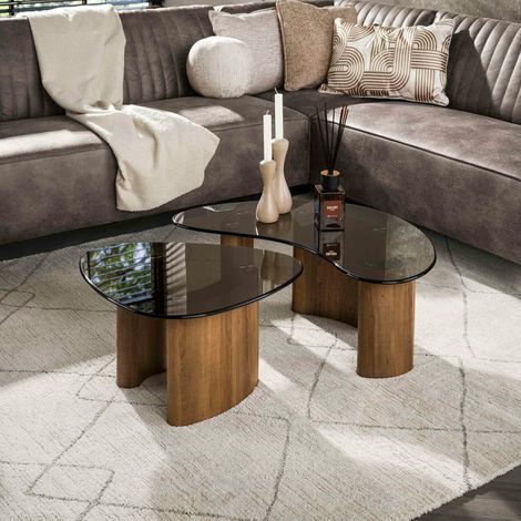 Tables salon verre fumé, design organique (lot de 2) MILOS (1/5)