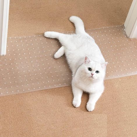1 - Tapis De Protection - Accessoire Pour Chat - Anti-Rayures Pour Porte - Matériau Plastique Découpable - Pour Intérieur - Transparent - 110cm (1/5)