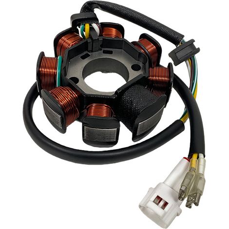 Zündspule für Motorräder, kompatibel mit KTM 250, EXC300, XC-W 300, Teilenummer: EO 77039104000 (1/4)