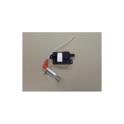 Remeha  Zündtrafo mit Zünd-Ion Elektrode, S100838