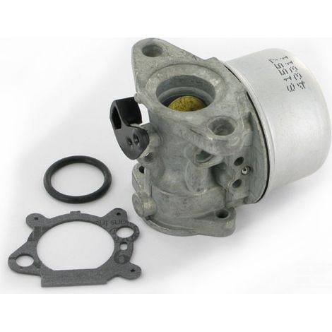 Jardiaffaires – Carburateur adaptable Briggs Stratton – Remplace 799868 – Compatible moteurs QUANTUM avec PRIMER – Solution efficace pour entretien moteur (1/4)