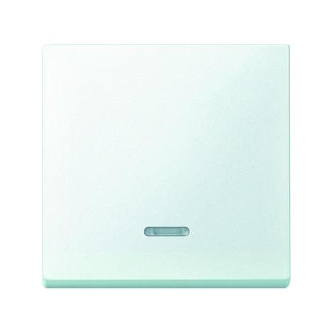 Merten Kontrollwippe mit Kontrollfenster System M polarweiß matt 431019 (1/5)