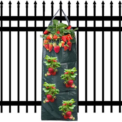 Sacs de plantation verticaux avec 8 trous pour planter (1/4)