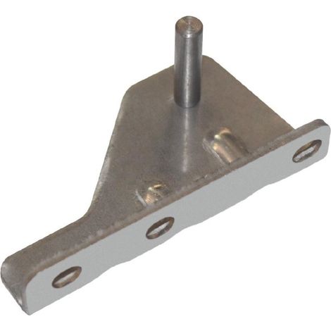 Charnière droite de porte polaire - Polar