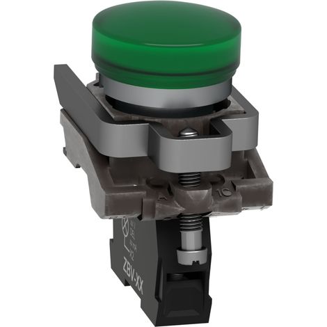 Harmony voyant rond Ø22 - IP66 - vert - LED intégrée - 240 V - XB4BVM3