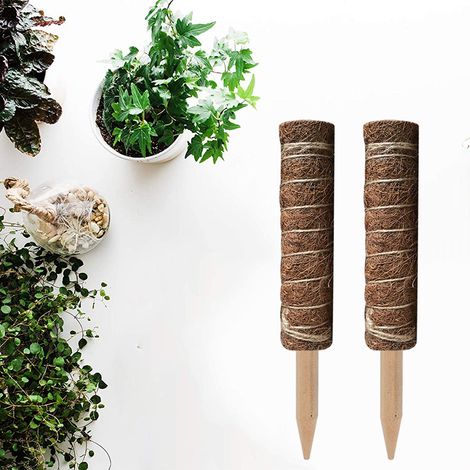 Tuteur Plantes Grimpantes en Mousse - Support pour Plantes grimpantes - Poteau Totémique en Coco pour Plantes de Jardin et Pots 2pcs（30cm）