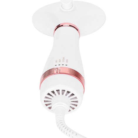 Sèche-cheveux portable 2 en 1 pour animaux de compagnie, avec température réglable, pour chiens et chats de petite et moyenne taille. Prise européenne 220 V, finition dorée.