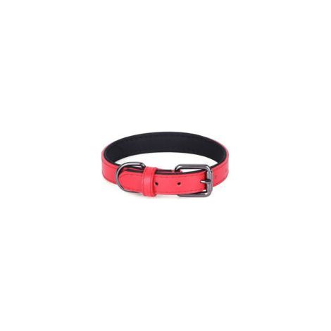 Rotes Hundehalsband aus weichem, gepolstertem und atmungsaktivem Leder – 2040 cm (1/5)