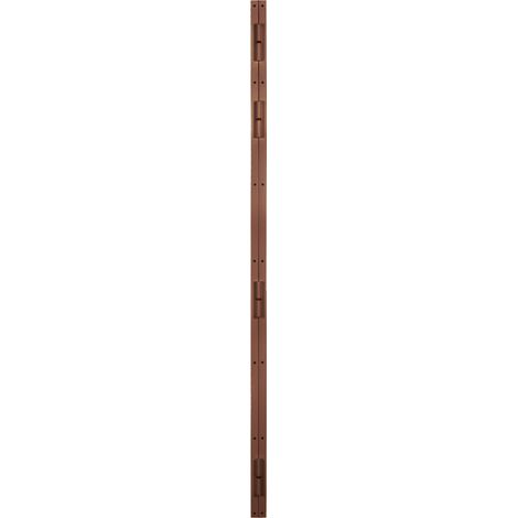 Heracles – Barre pivot de porte 30x5mm – Fer plat pour bois dur – 4 paumelles à billes – Livrée en apprêt marron (1/3)