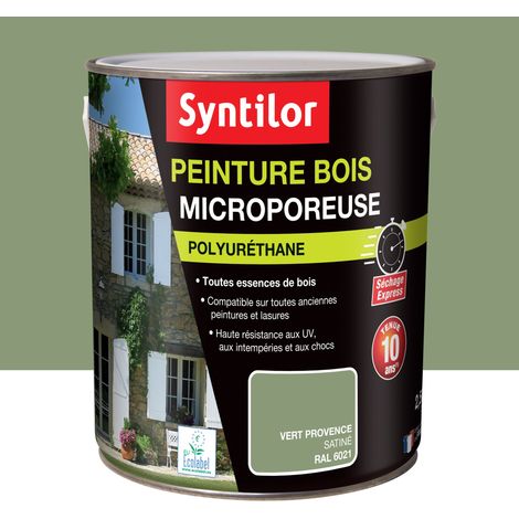Peinture microporeuse pour bois extérieur 2,5L – Vert Provence RAL 6021 – Protection durable jusqu'à 10 ans – Séchage express – Syntilor (1/5)