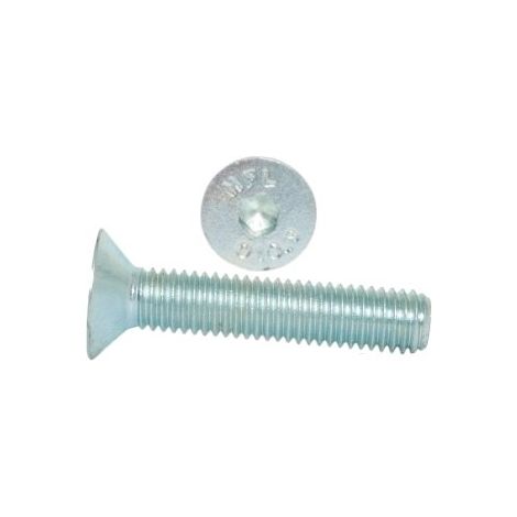Vis Allen M6x14 classe 10.9 DIN 7991 PG galvanisées 10 pièces. (1/5)