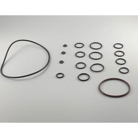 KIT ORING POMPA IDROPULITRICE ANNOVI REVERBERI RCV RCA RC ORIGINALE 42470