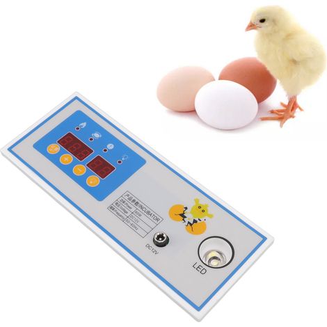 Thermostat d'incubateur 60 W 12 V, régulateur de température automatique en plastique pour mini-incubateur (accessoire) (1/5)
