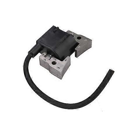 Bobine d'allumage 21171-2207 pour FE290D, FE290R, FE350D, FE400D, GE4300A et GE5000A (allumeur séparé) (1/5)