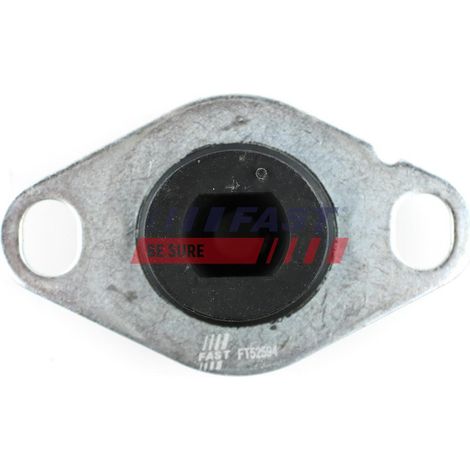 Soporte de motor rápido FT52594 LE