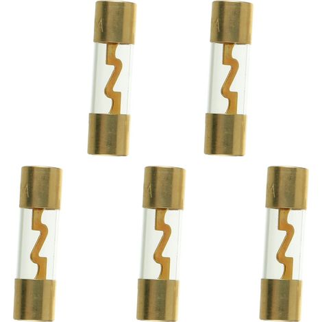 30 A vergoldete AGU-Glassicherung für Auto, Automobil, Marine, Car-Audio-Stereoverstärker-Stromschutz (5er-Pack).