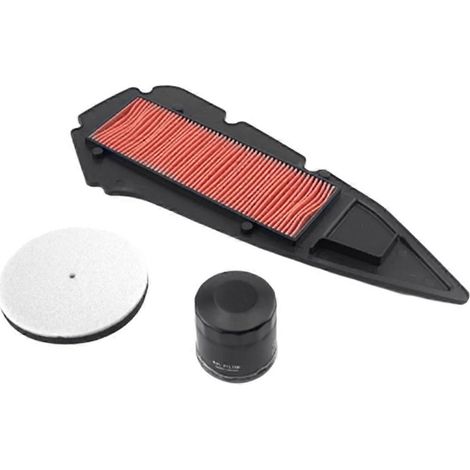 Filtre à air moteur avec filtre à huile et mousse d'entrée d'air pour ZT368G (1/5)