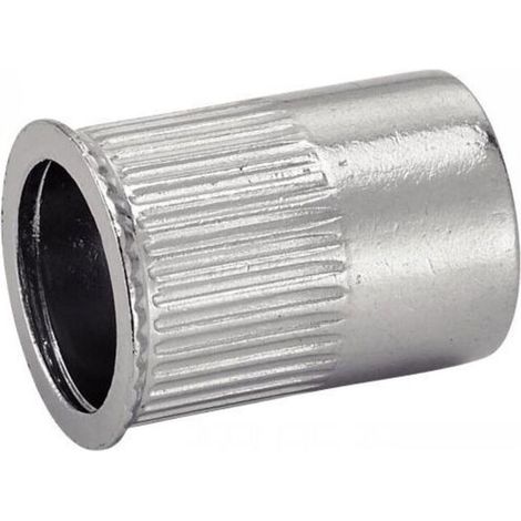 Boite de 50 écrou cranté à sertir tête affleurante inox A2 - M6 - 626336 (1/3)