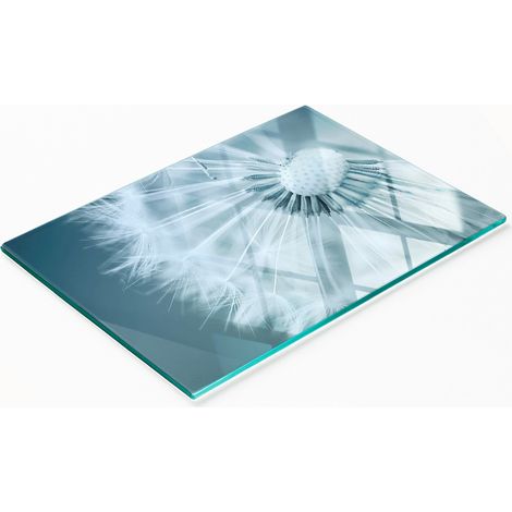 Multifunktionales dekoratives Küchen-Glasbrett Löwenzahn 80x52 cm (1/5)