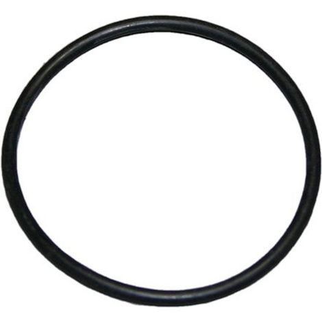 BOSCH O-Ring 48,9x2,62, 7101596