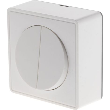 Zenitech – Interrupteur double va et vient 10A saillie en polycarbonate – Résistant aux chocs – Installation facile sans encastrement – Pour deux circuits lumineux