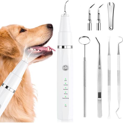 Zahnreinigungsset für Hunde, Ultraschall-Zahnreinigungsgerät für Haustiere, Zahnpflege für Hunde und Katzen (1/5)