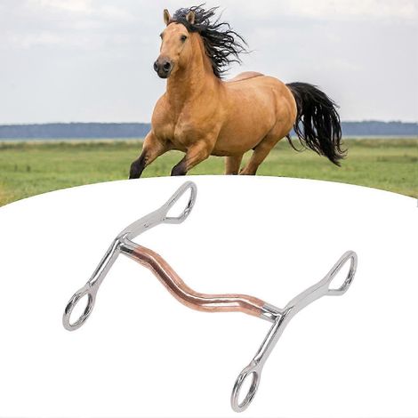 Mors de bride en acier inoxydable pour chevaux, résistant à l'usure et à la corrosion, idéal pour la ferme (2025) (1/5)