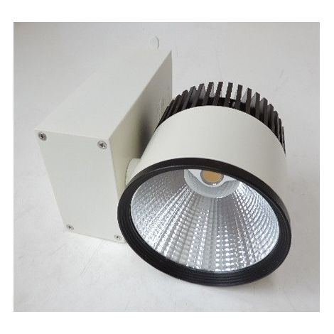 Spot LED 20W blanc 4000K 1500lm pour rail monophasé 1 circuit 3 fils faisceau 24° driver 230V integré IP20 VERO (1/5)