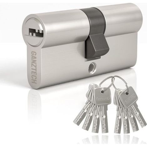 1 cylindre de serrure,alliage d'aluminium,nickel,8 clés à fossettes,portes composites et upvc (1/5)