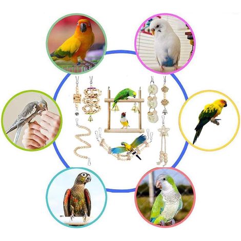8 Pcs Complete Bird Toy Set, Molar Climbing Interactive Toys to Keep Birds Healthy & Active (1/4)