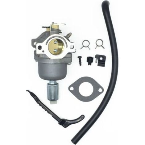 Carburateur pour Moteurs Briggs & Stratton 287707 287776 287777 310707 310777 698620 690194 791886 799727 496796 499153 695412 792768 Remplacement du carburateur (1/4)