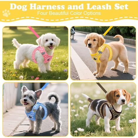 Harnais pour chien avec laisse - Ensemble de promenade confortable et réglable avec motif à carreaux (1/5)