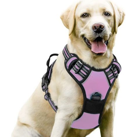 harnais chien – Harnais pour chien moyen à grand – Réglable et réfléchissant – Attache avant pour anti traction – Taille L, tour de cou 46-66 cm, tour de poitrine 38-89 cm-rose