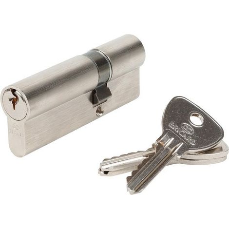 BRICARD Cylindre De Serrure Alpha L.30 + 50 Mm