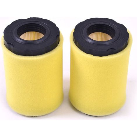2 Pièces Filtre À Air Pour Tondeuse À Gazon Briggs Stratton 796031 549201 797404 Cartouche Nettoyage (1/4)