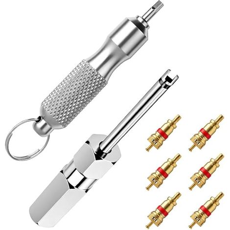 Outil de Retrait de Noyau de Valve de Pneu, Extracteur de Tige de Valve en Acier Inoxydable avec 6 Noyaux, pour Réparation de Pneus de Voiture, Camion et Vélo (1/5)