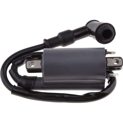 Bobine d'allumage pour moteur 260cc 300cc, compatible avec modèles D300 et G300, haute performance, pièce de rechange pour moteur Buyang (1/2)