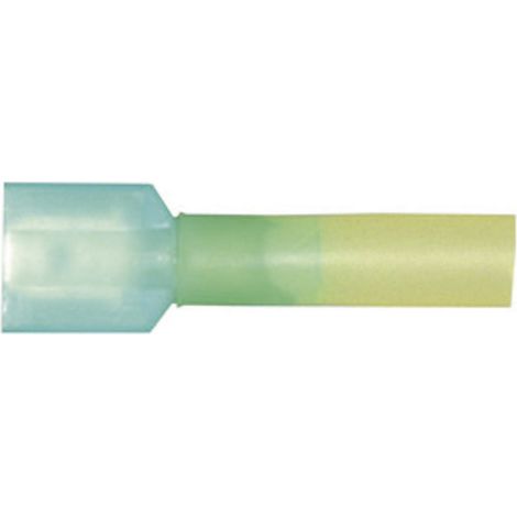 Cosse à languette mâle 6.3 x 0.8 mm Vogt Verbindungstechnik 3970sh avec gaine thermorétractable 180